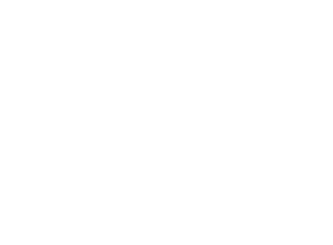 ELIPSIS